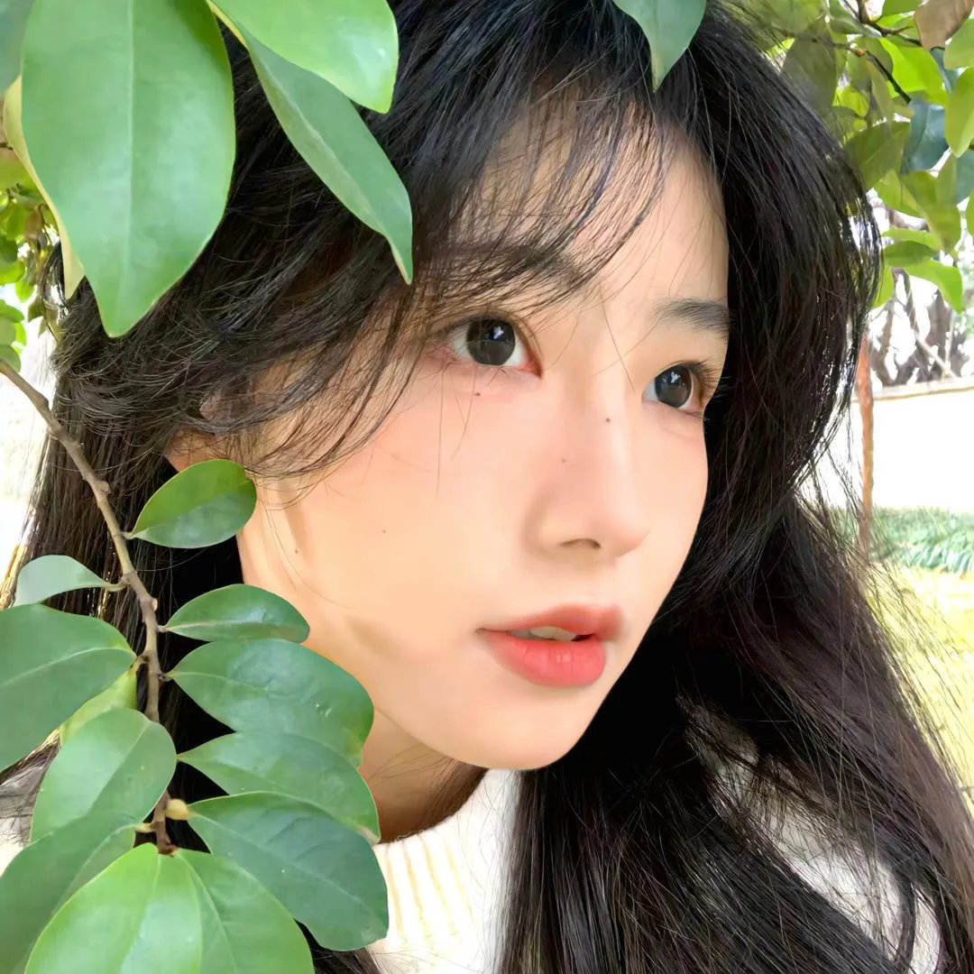 会长的贴身校花